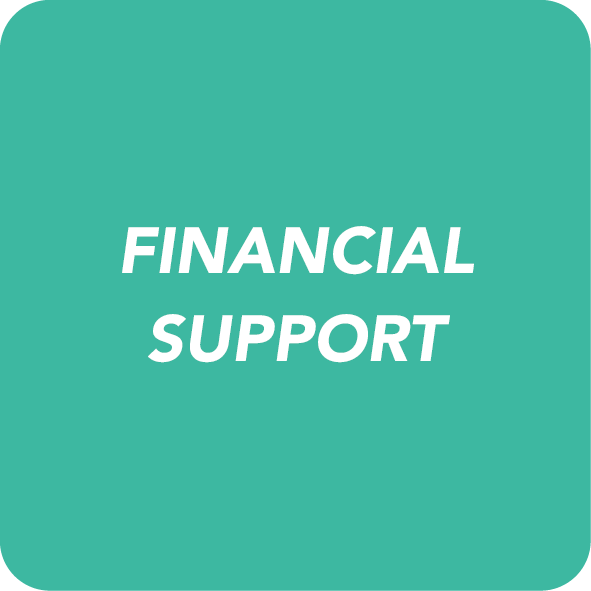 Transition - Financial Support | PDF